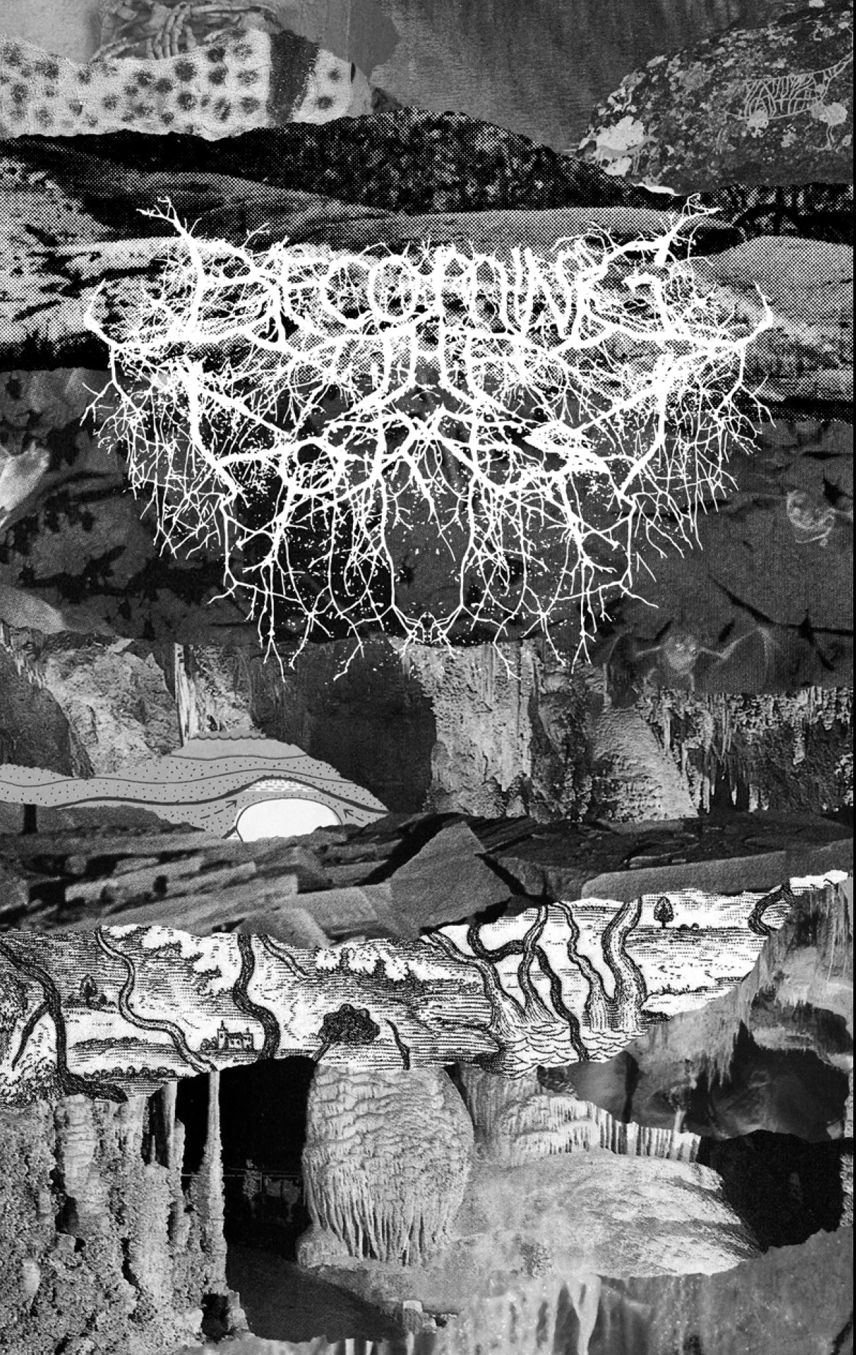 Becoming the Forest V ZINE