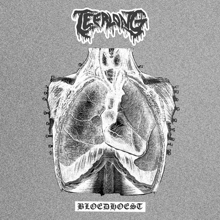 Teerlong - Bloedhoest TAPE
