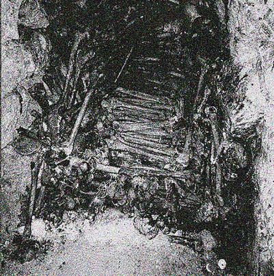 Ctenizidae – ...of Rotting Soil and Spine 10"