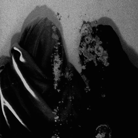 Fluisteraars - Luwte 12"