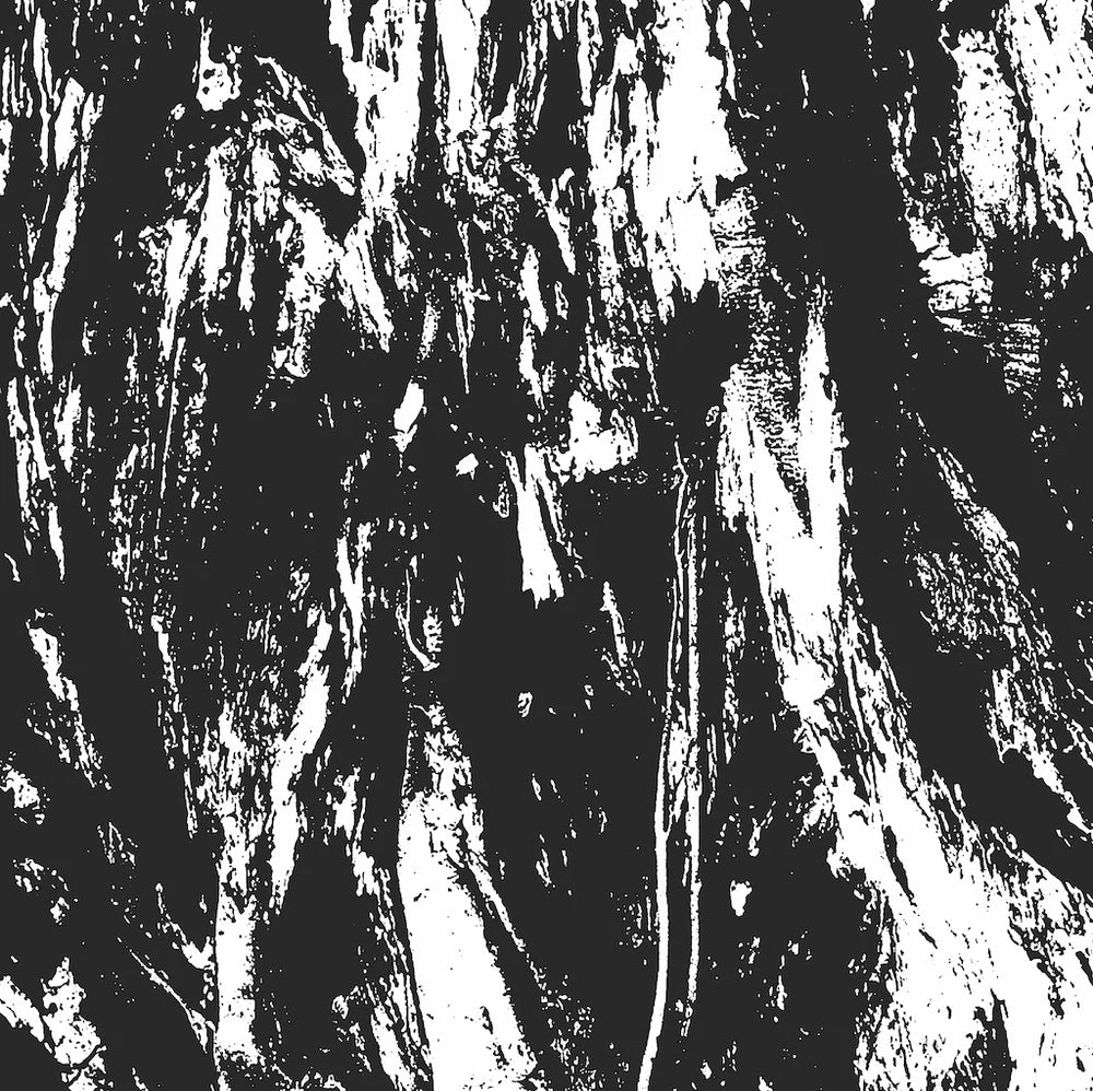 Carved Cross / Empire of Hate - Split 12"
