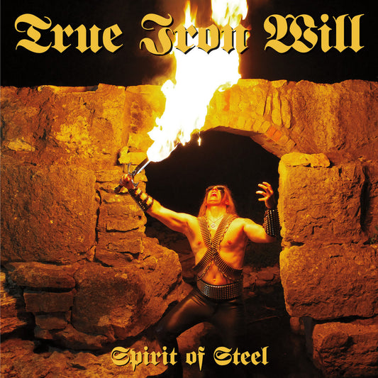 True Iron Will - Spirit of Steel PIC 12"