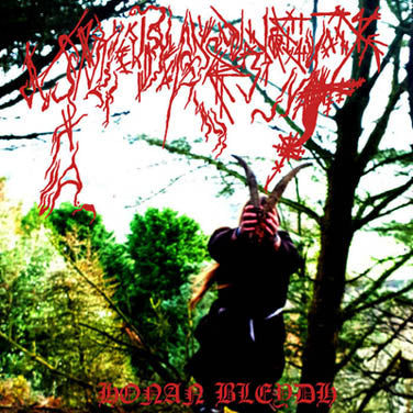 Ynkleudherhenavogyon - Honan Bleydh 12"