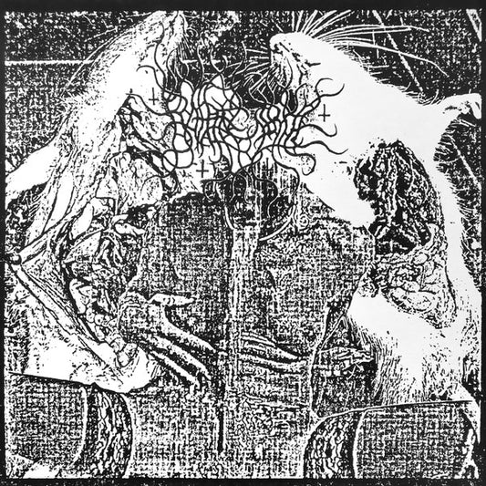 Rattenzirkel – Rattenzirkel 12"